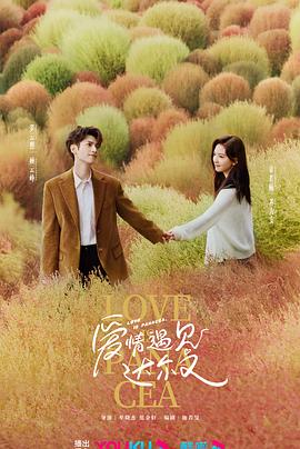 合肥seo搜索引擎优化师哪家好